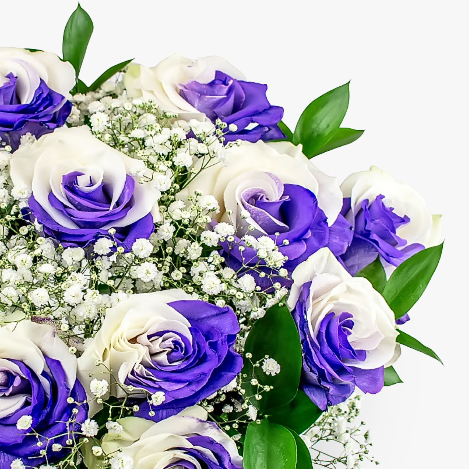 Super Indigo Roses Haute Florist