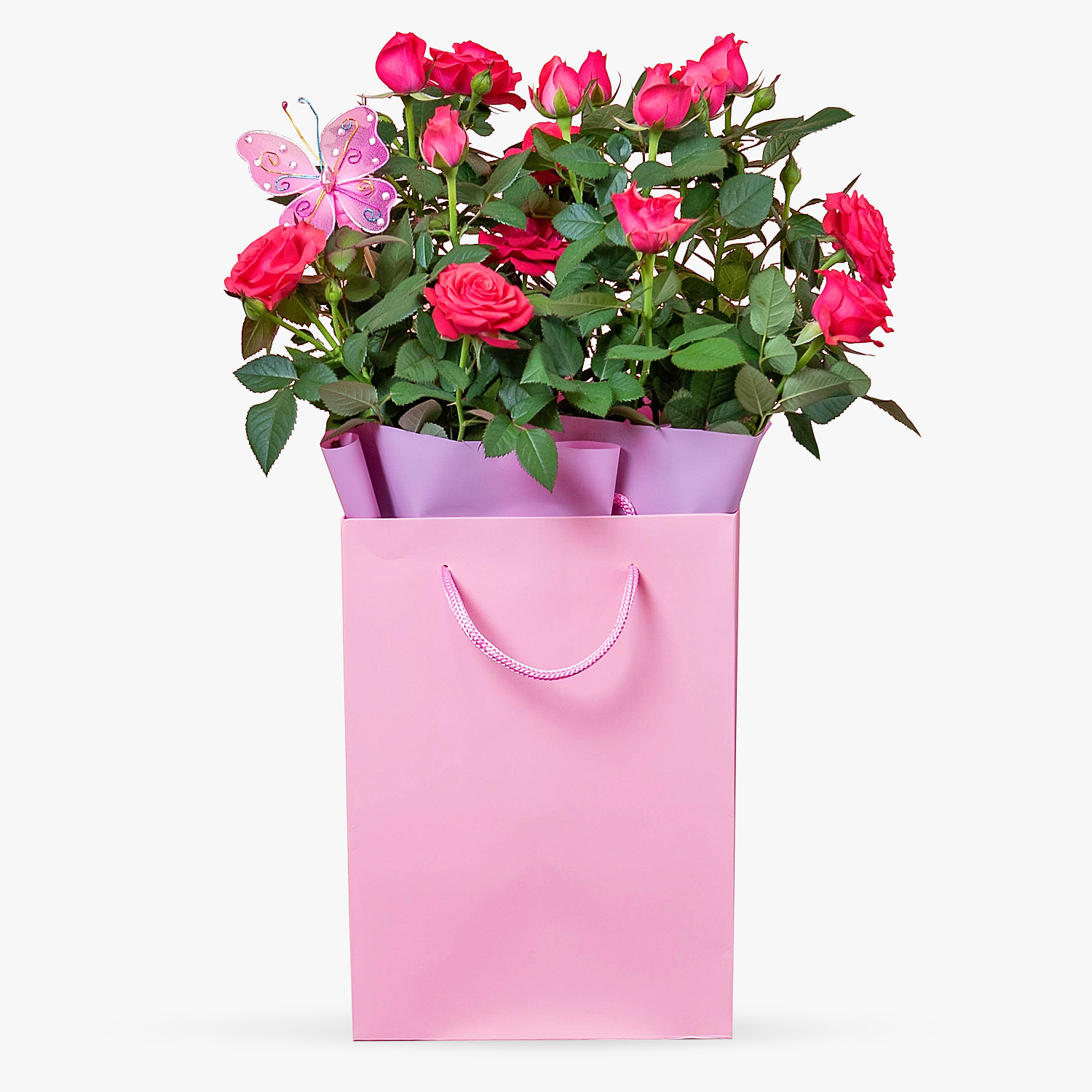 Beautiful Rose Gift Haute Florist