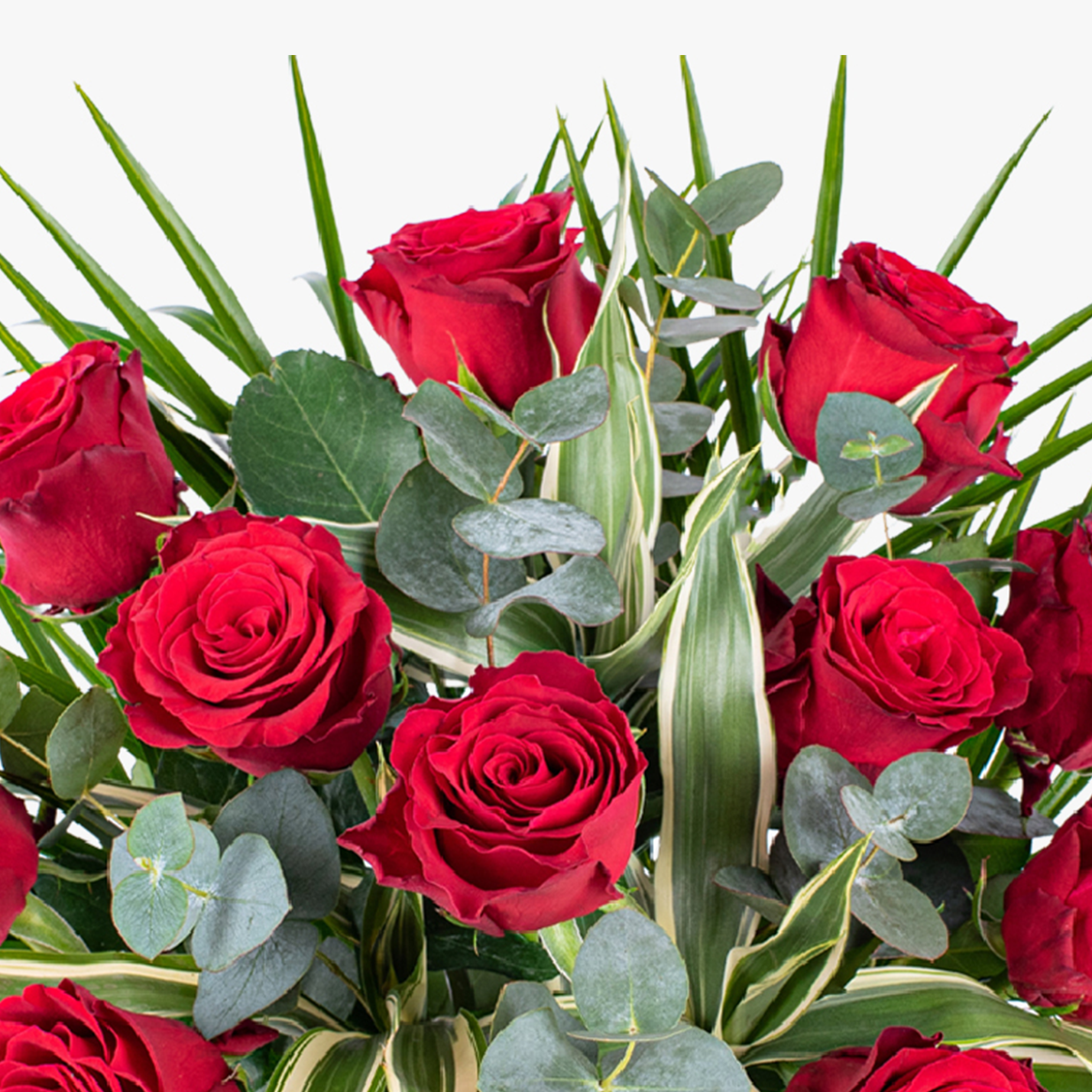 Send Romance: 12 Red Roses  Haute Florist Delivers Love