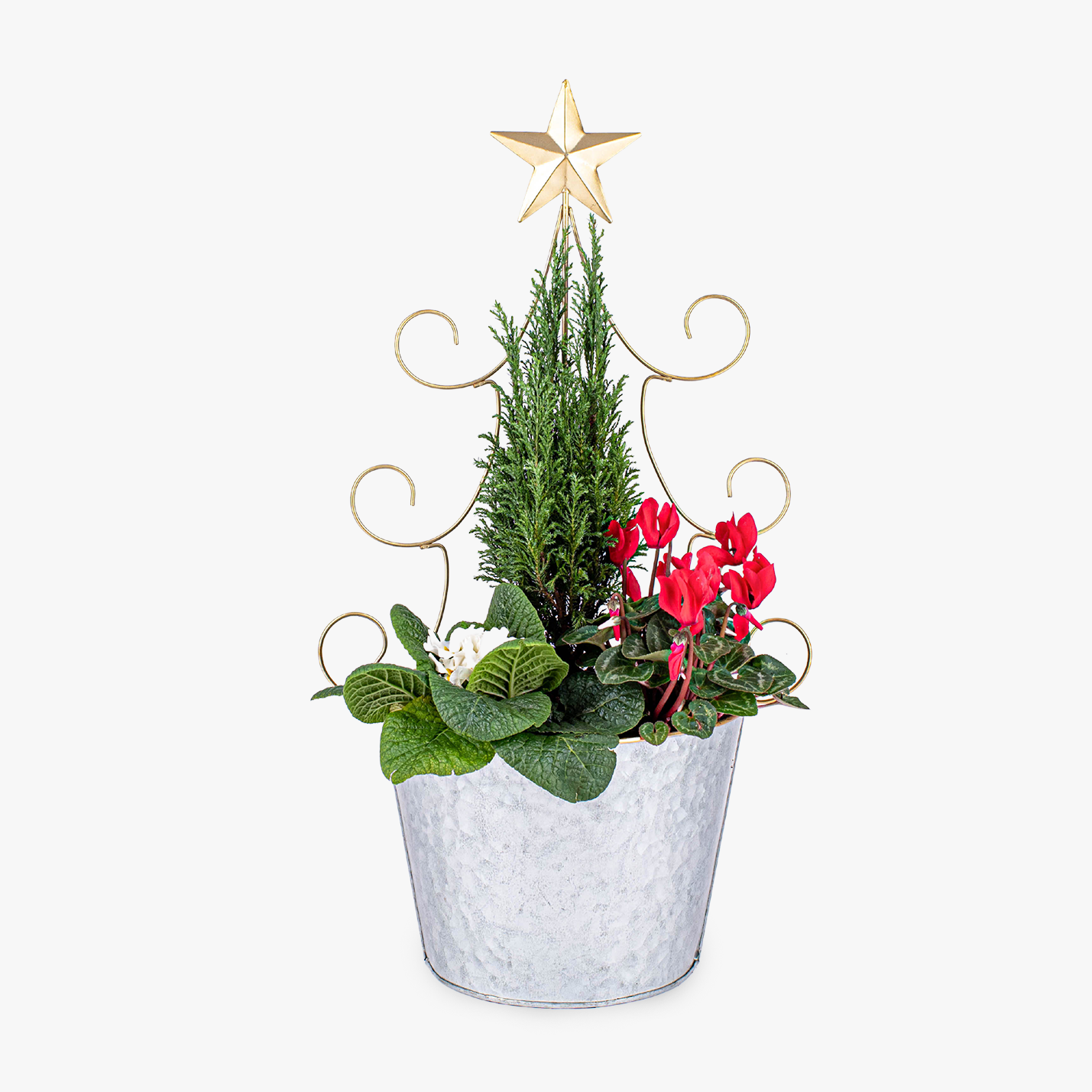 Magical Christmas Tree Mix Haute Florist