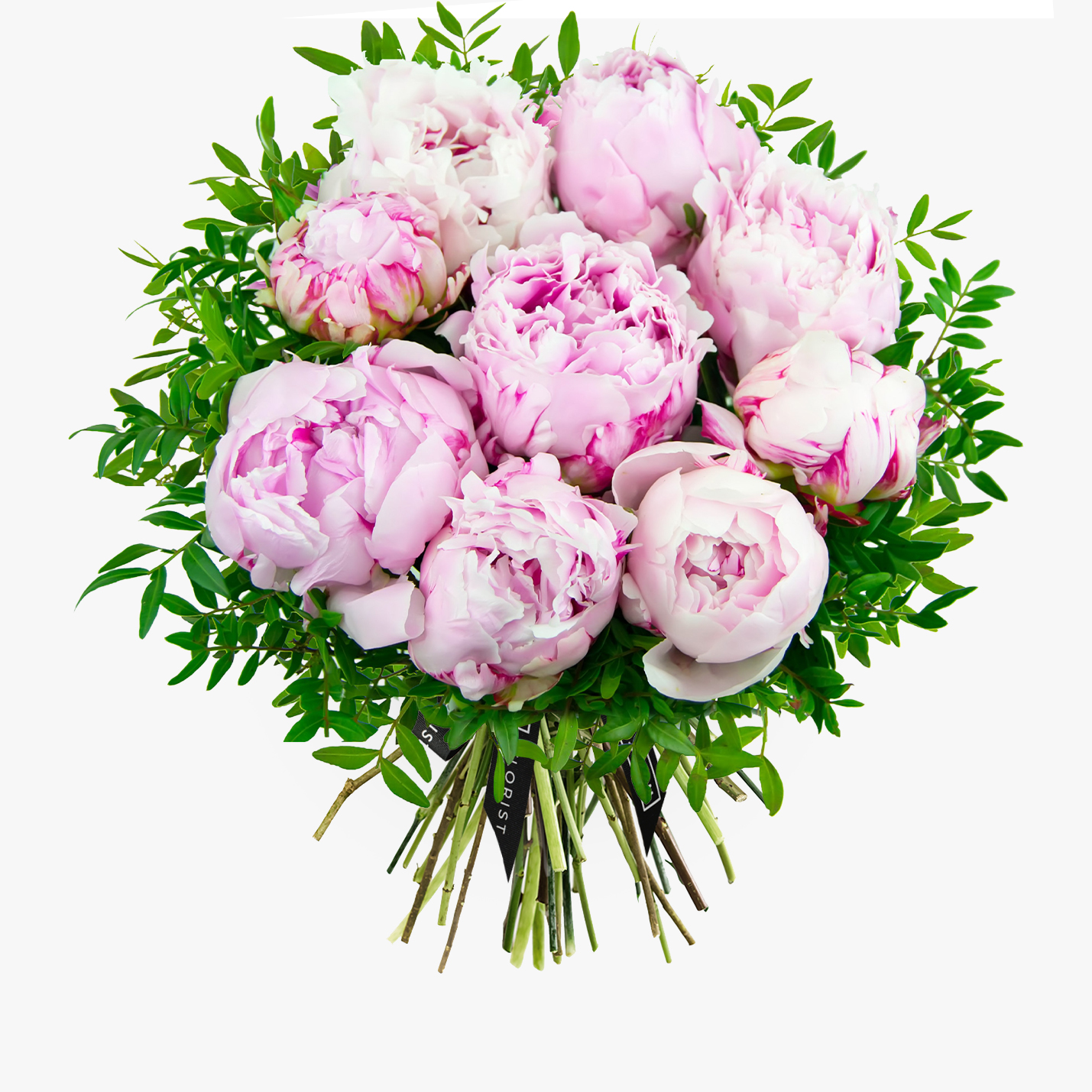 Luxury Peonies Haute Florist